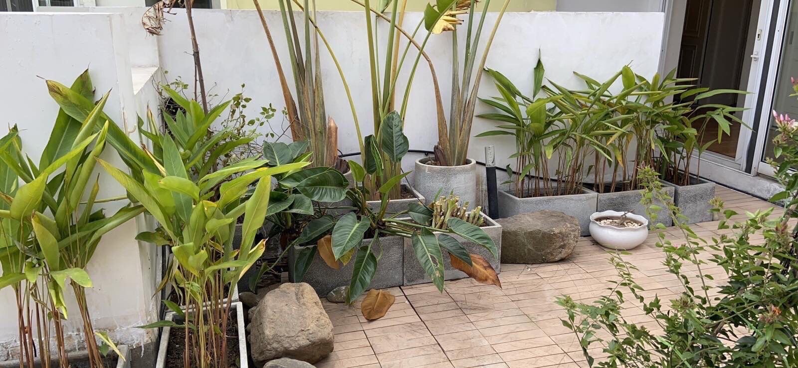 Penthouse for rent in Rung Co with 3 bedrooms 1