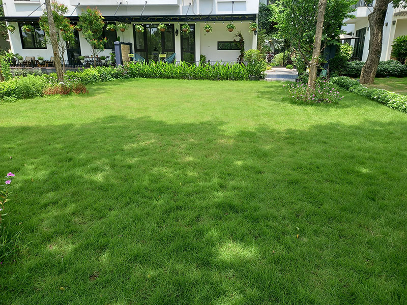 500sqm villa has large garden in Mimosa , 4 bedrooms